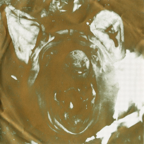 Mayhem (NOR) : Ancient Skin - Necrolust